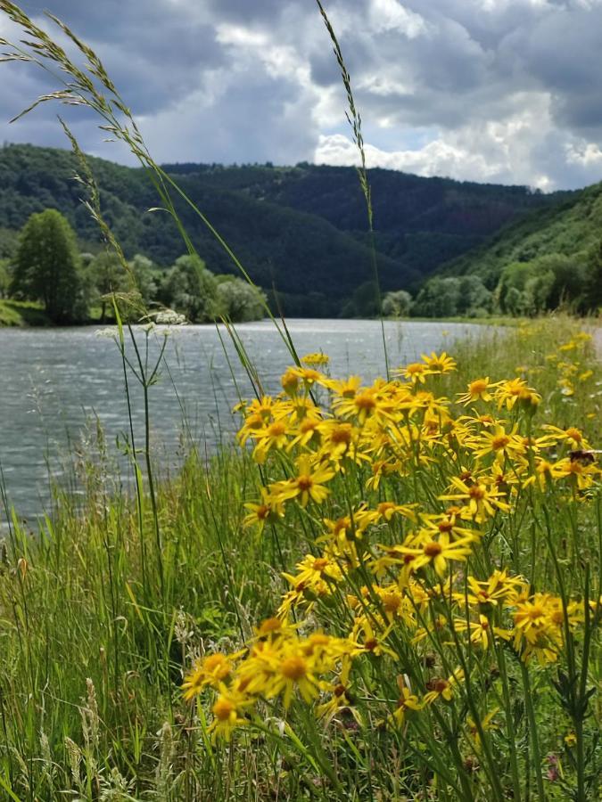 Entre Meuse Et Foret Revin  Exterior photo