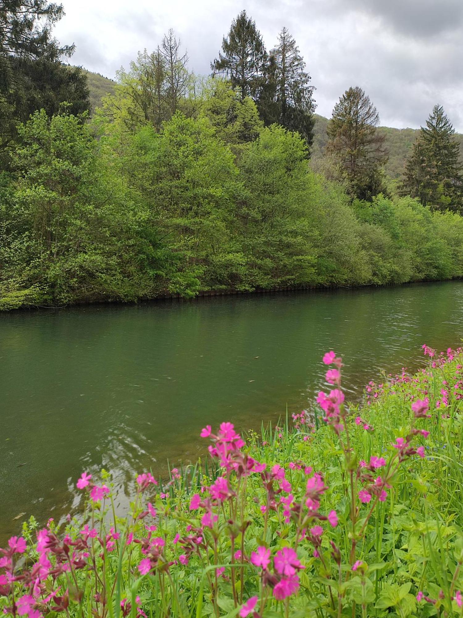 Entre Meuse Et Foret Revin  Exterior photo